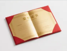1744808017269597.png image.png