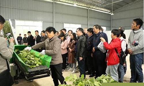全国如何办理蚕种生产经营许可证?需要哪些材料? 全国如何办理蚕种生产经营许可证?需要哪些材料?