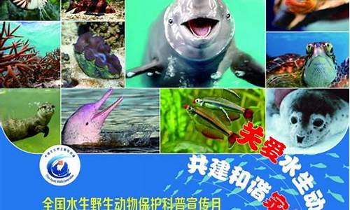 全国水生野生动物捕捉证怎么办理?需要哪些手续? 全国水生野生动物捕捉证怎么办理?需要哪些手续?